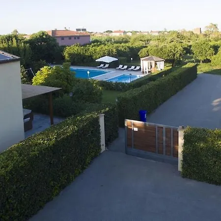Dell'eden Con 9 Da Letto In 6 Unita Abitative Villa Lascari